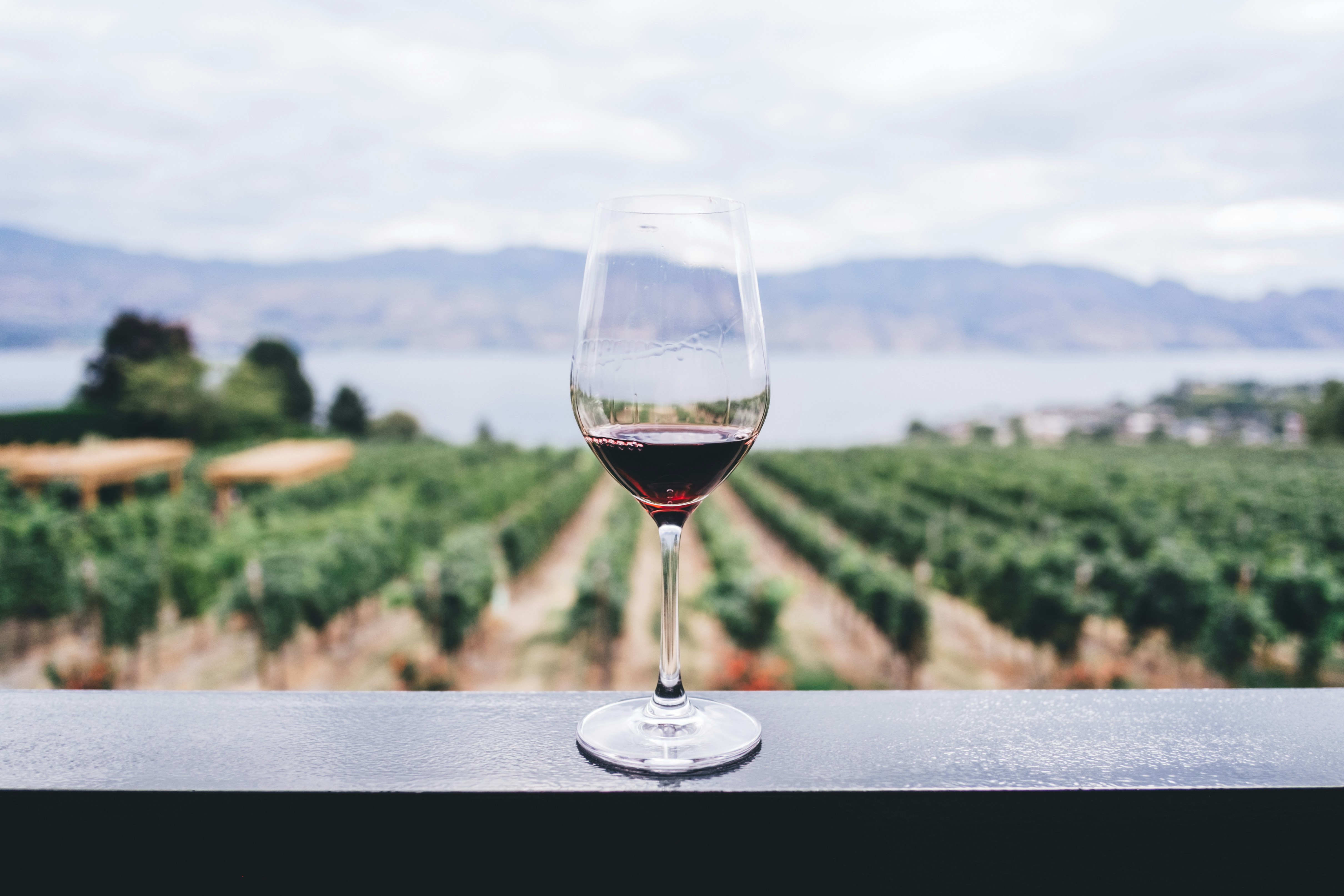 June 2024 – Bolnisi Protected Designation of Origin (PDO) Wine Festival